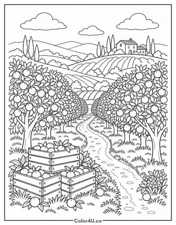 Orange Grove Landscape coloring page