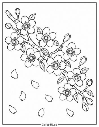 Cherry Blossom Branch in Full Bloom coloring page