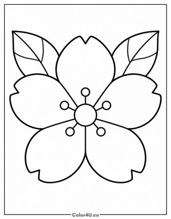 Single Cherry Blossom Flower coloring page