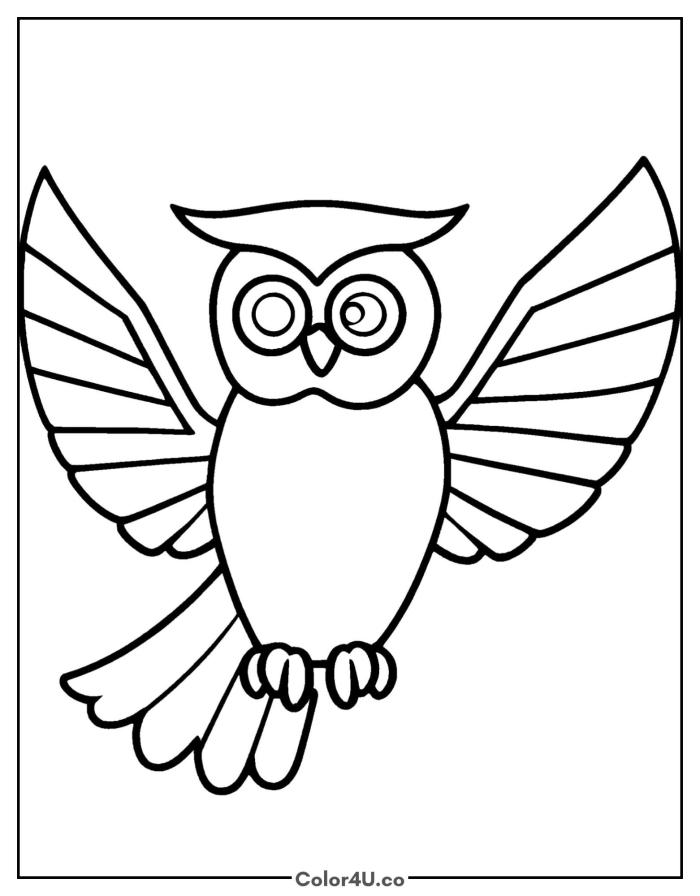 wise-owl-flying