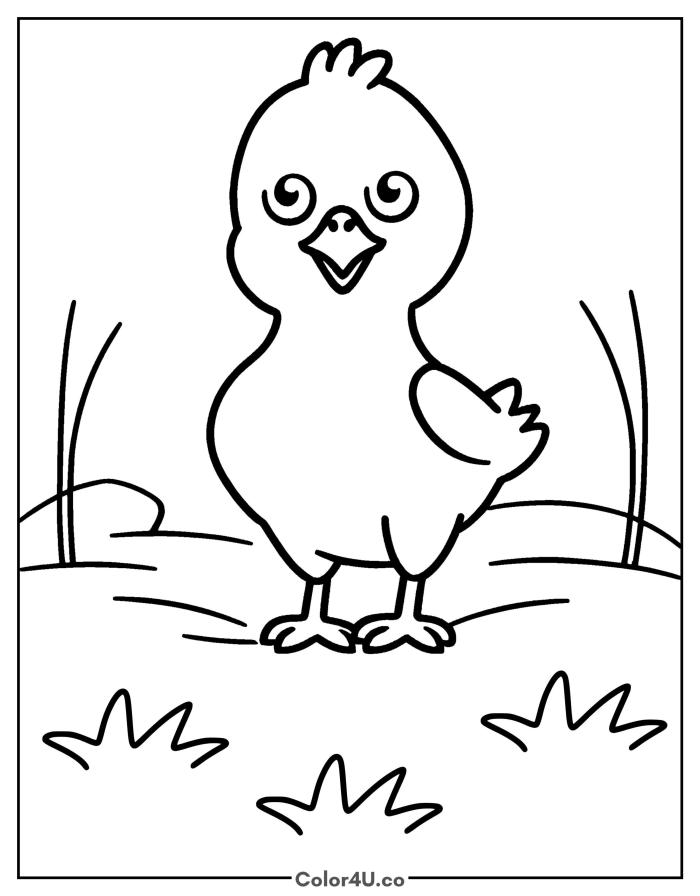 A cartoon duckling with swirly eyes standing in the grass, easy farm animals coloring page, free printable