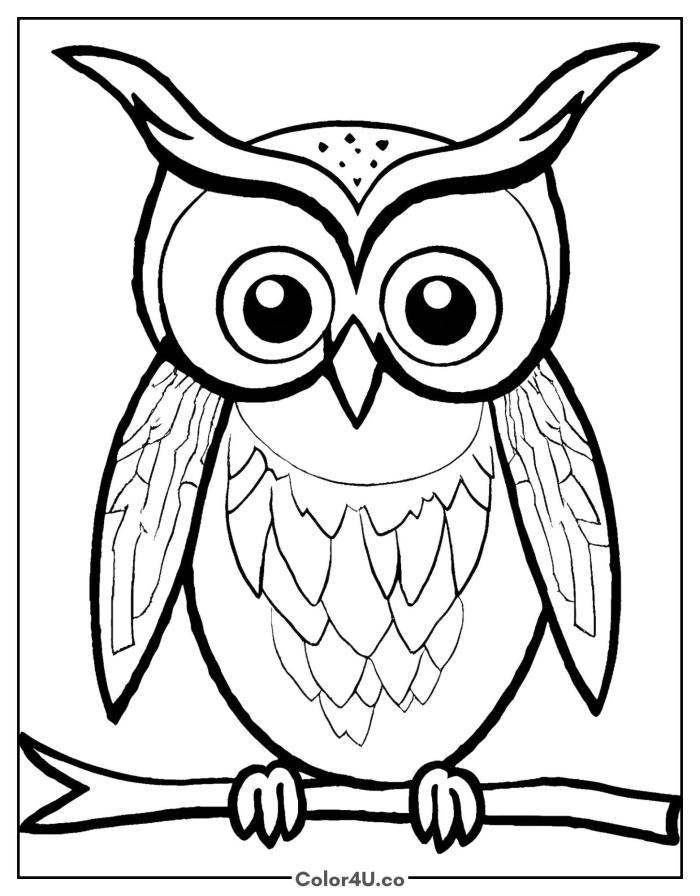 owl-surprised