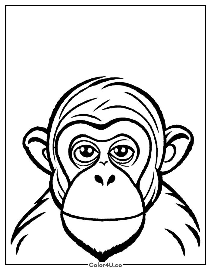 Chimpanzee face close-up portrait, medium monkey coloring page, free printable