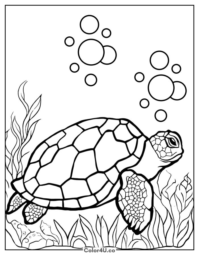 Realistic sea turtle swimming underwater with seaweed and bubbles, detailed turtle coloring page, free printable