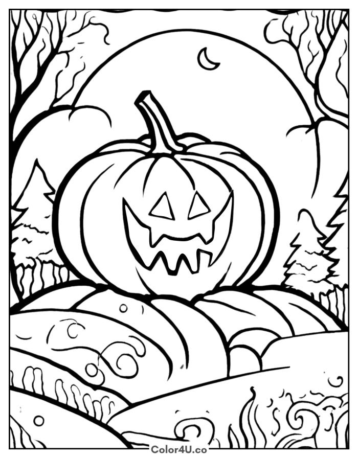 a-halloween-pumpkin-in-the-nightwoods