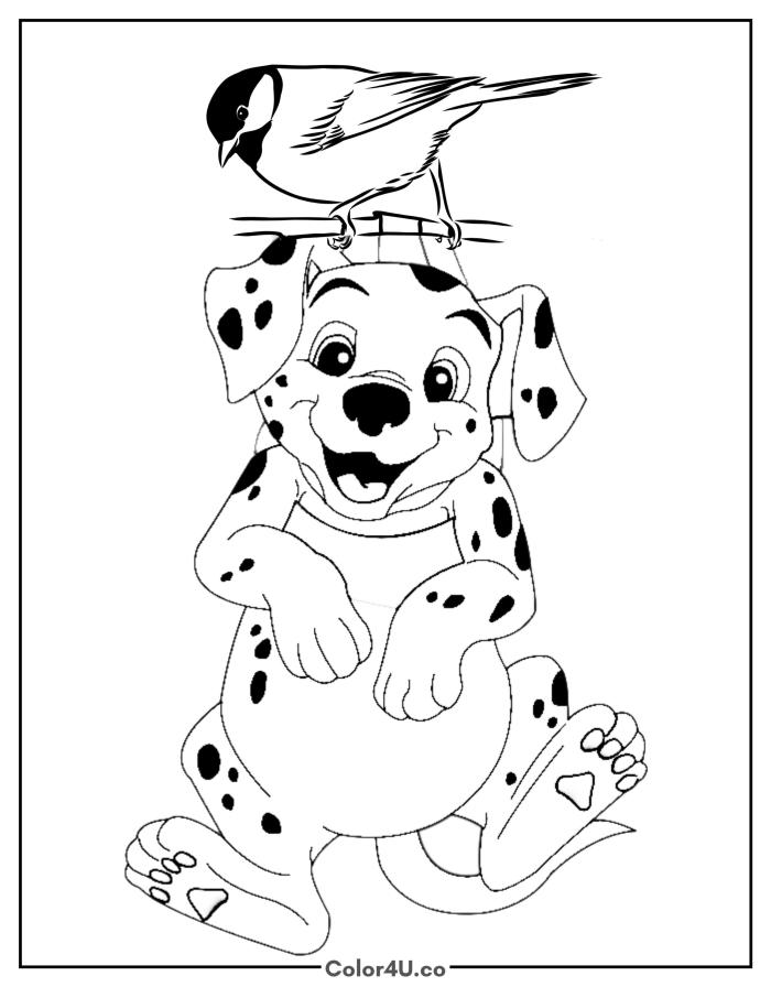 a-dalmatian-and-bird