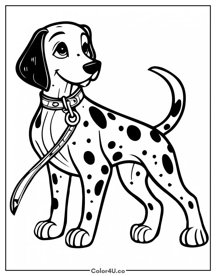 dalmatian-on-a-leash