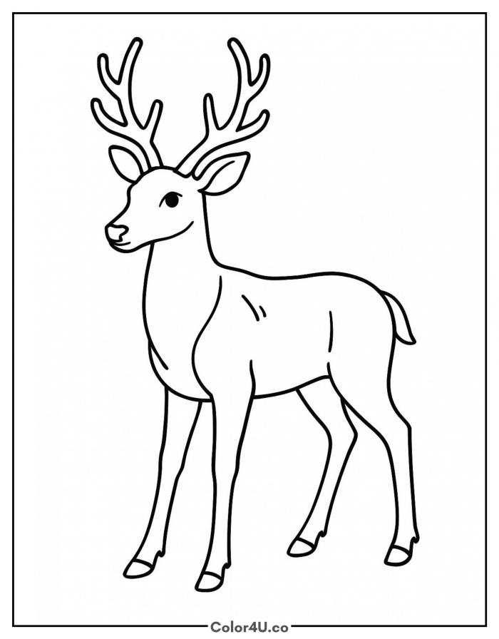 Majestic deer with branching antlers, easy Reindeer coloring page, free printable