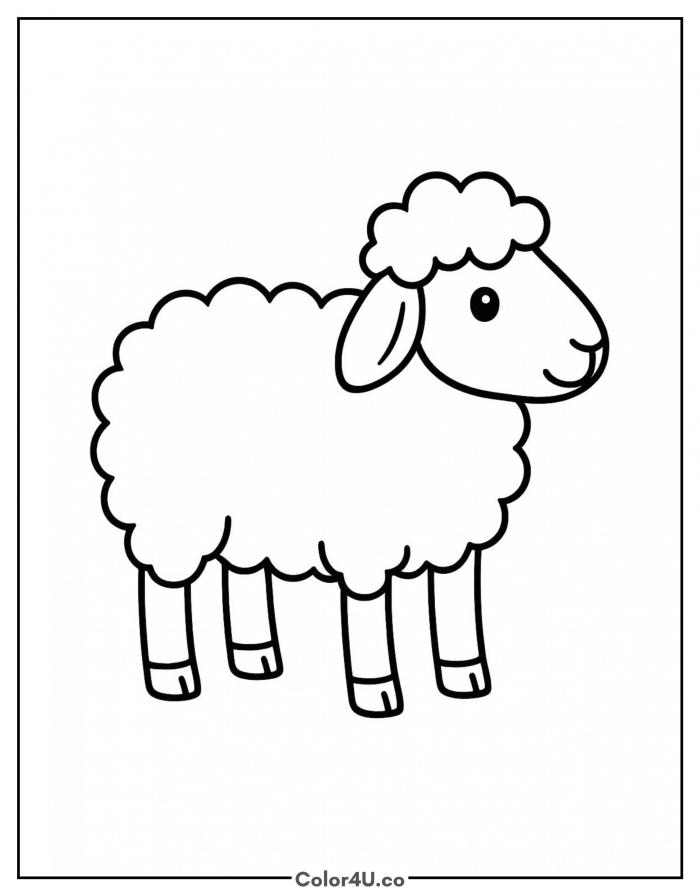 fluffy-sheep
