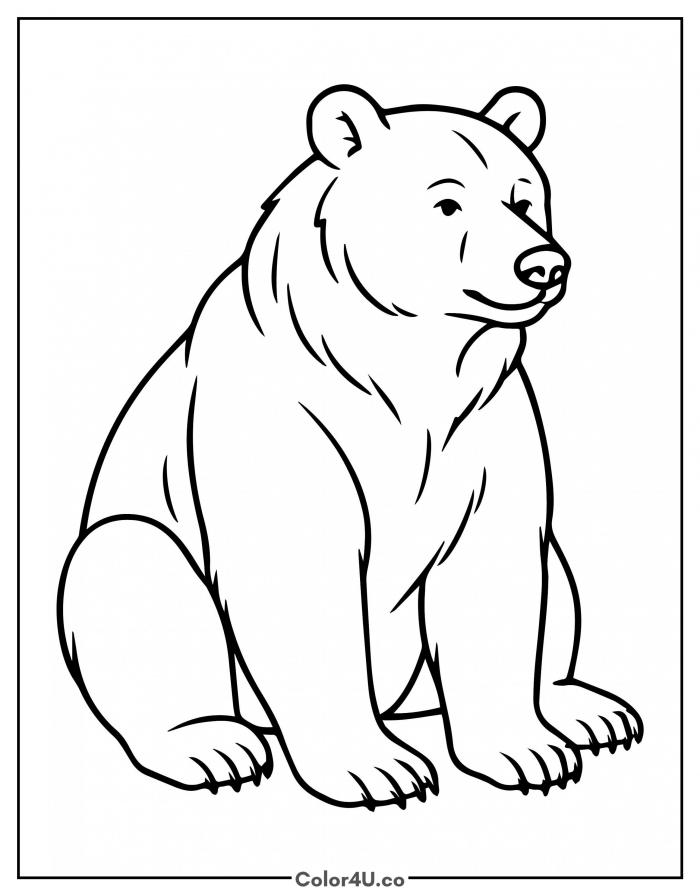 northern-bear