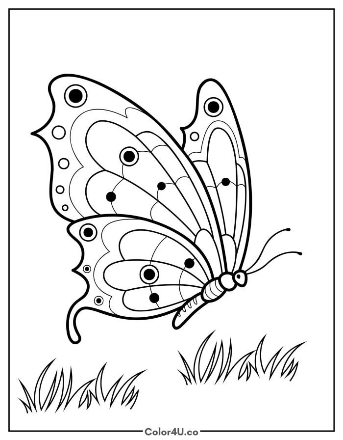 a-butterfly-on-the-grass