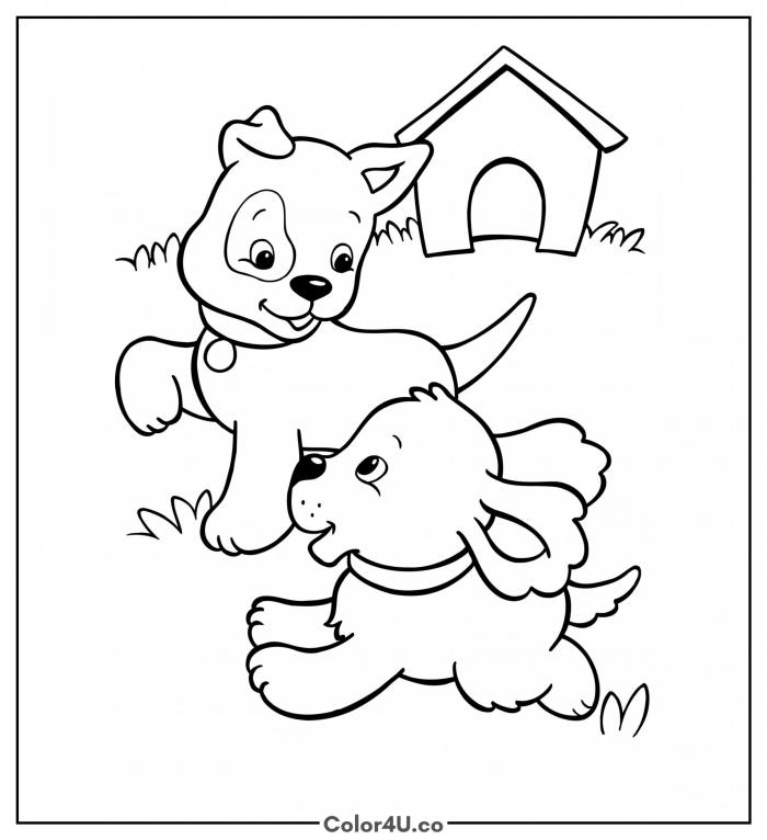 playful-puppies-in-the-yard