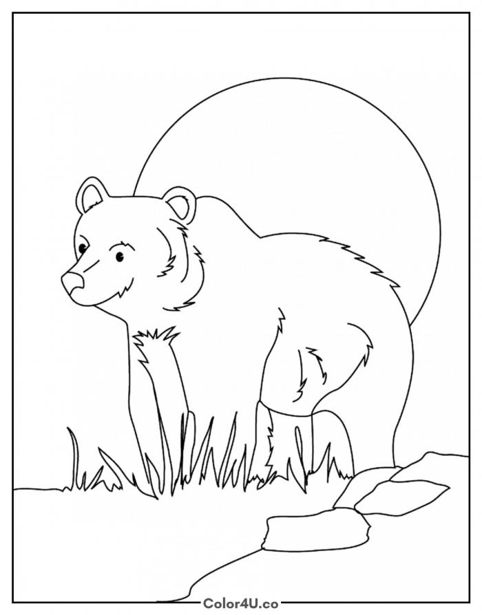 Bear in Nature Scene Coloring Page
