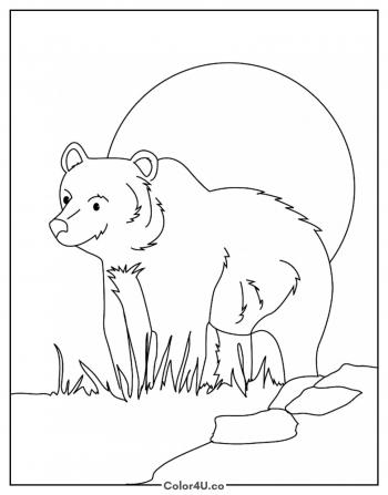 Bear in Nature Scene Coloring Page