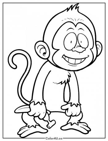 Smiling Monkey Coloring Page