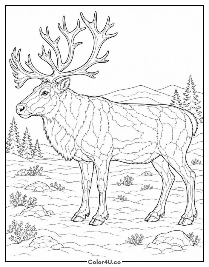 Realistic caribou in the snow, detailed wildlife coloring page, free printable