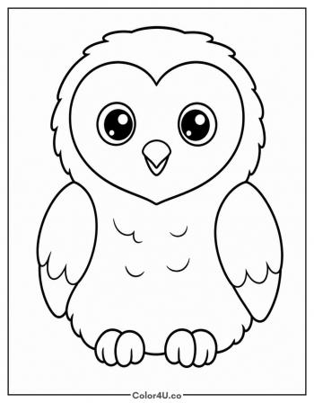 Baby Barn Owl coloring page