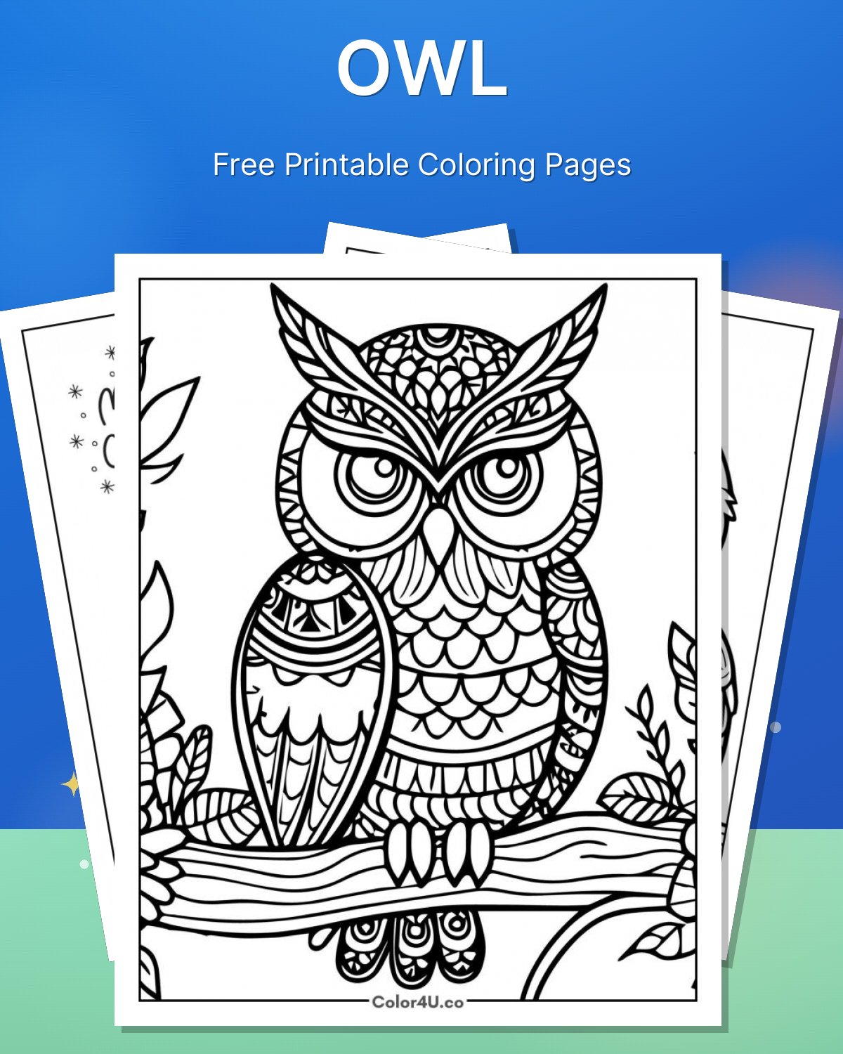Owl
