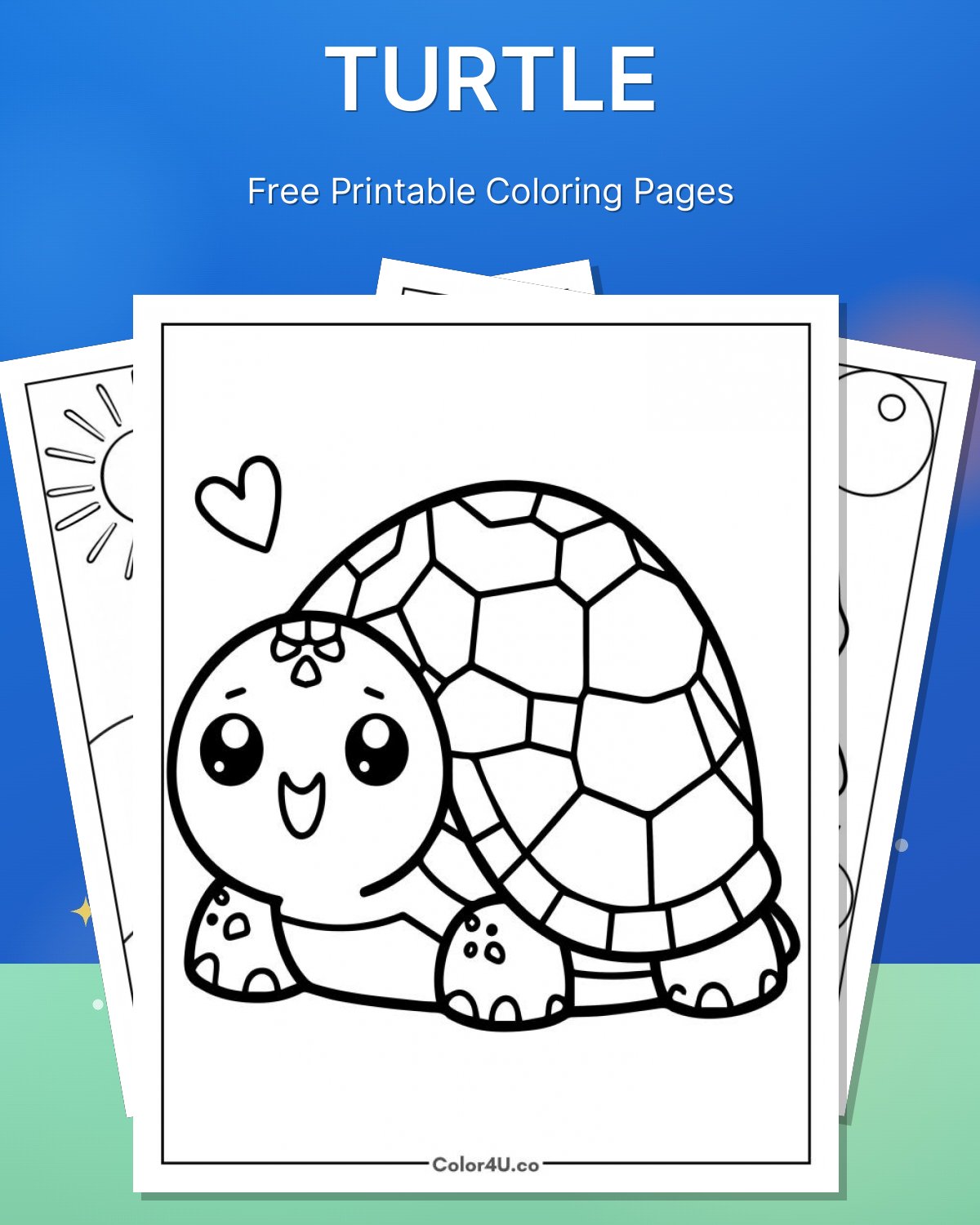 Turtle